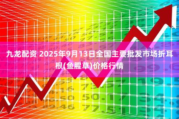 九龙配资 2025年9月13日全国主要批发市场折耳根(鱼腥草)价格行情