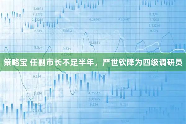 策略宝 任副市长不足半年，严世钦降为四级调研员