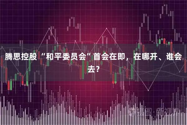 腾思控股 “和平委员会”首会在即，在哪开、谁会去？