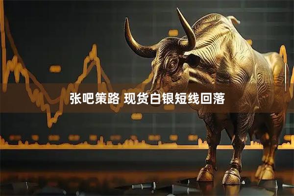张吧策路 现货白银短线回落