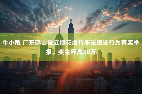 牛小散 广东鹤山设立烟花爆竹非法违法行为有奖举报，奖金最高30万
