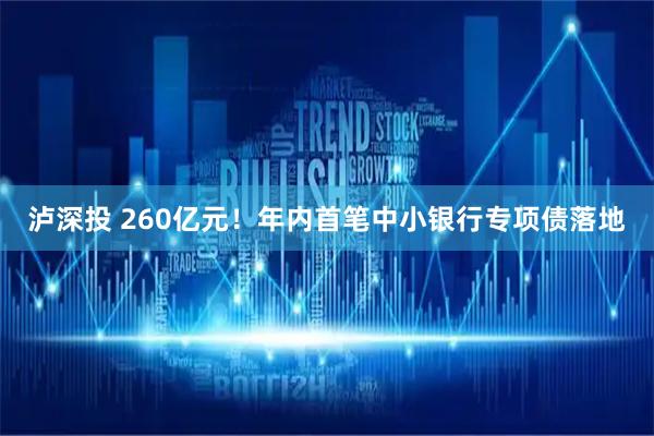 泸深投 260亿元！年内首笔中小银行专项债落地